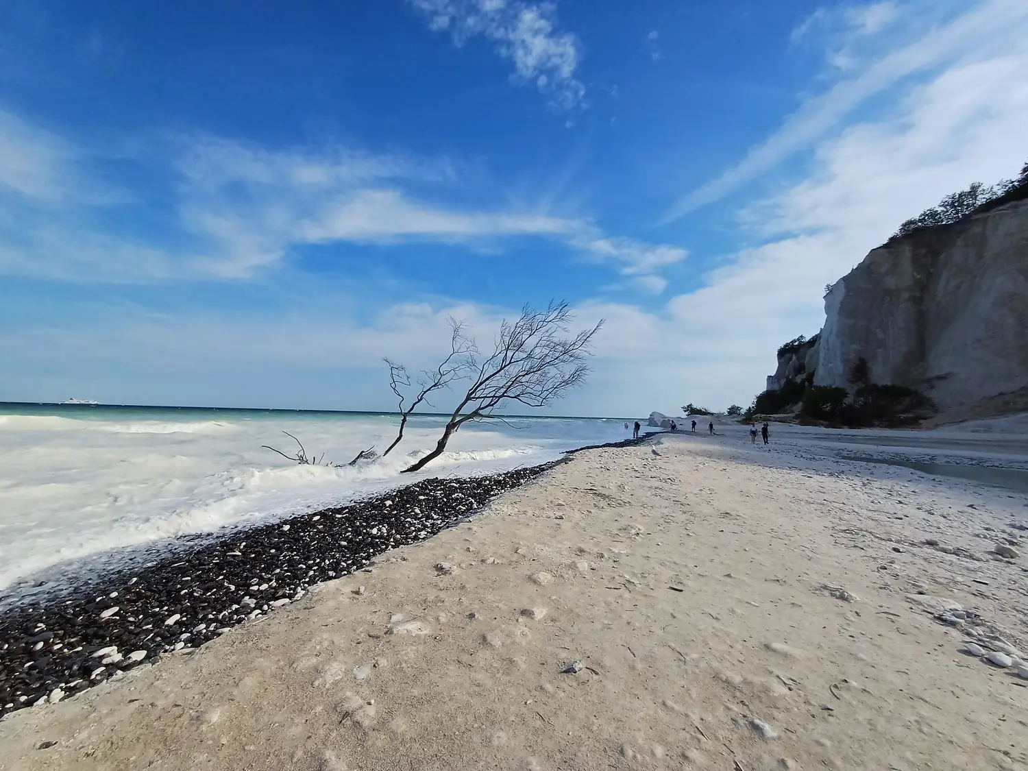 Plaża z kamieniami i wyrzuconym przez morze drewnem pod białymi klifami